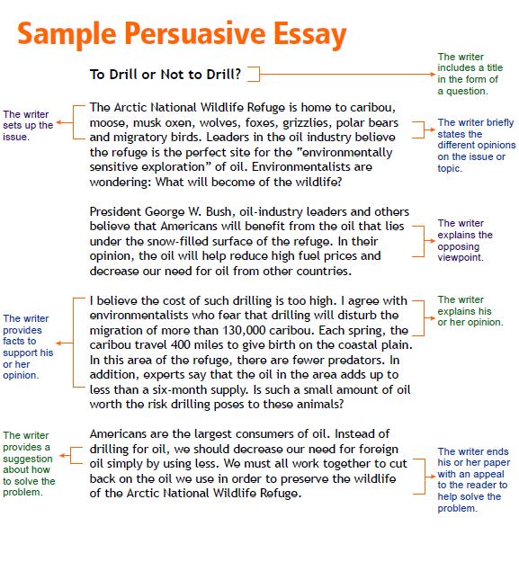 What is a personal opinion essay