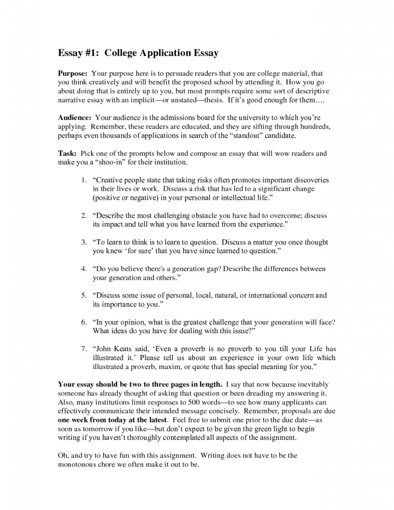 College admission essay examples format